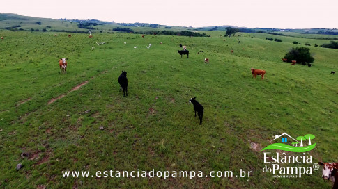 INICIO INICIO.00_00_47_18.Quadro006_6eb989d3bfe32b9c98fd58d2fc4011b022e255e9.jpg